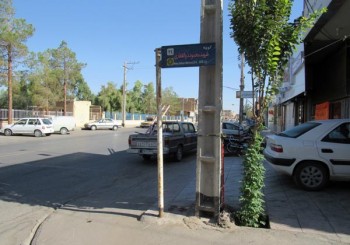 IMG_0275
