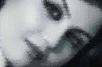281941_804